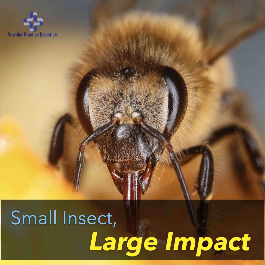 small insect, large impact
